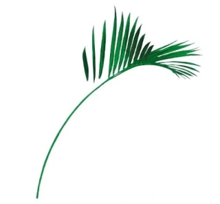 Samolepky na zeď - Palmový list (arch 50x70)