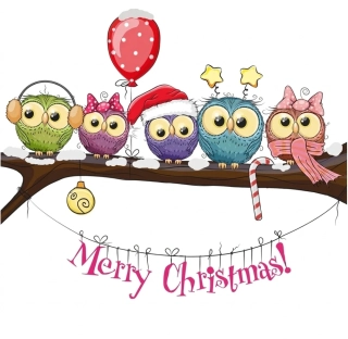 Samolepky na zeď dětské - Vánoční zimní ptáčci